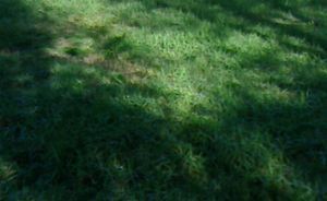 2020112209020000.jpg