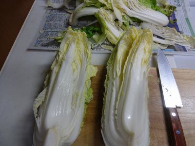 DSC07216.JPG