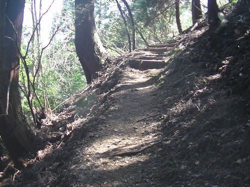 PIC_0078.JPG