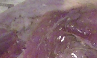 PIC_03832.jpg